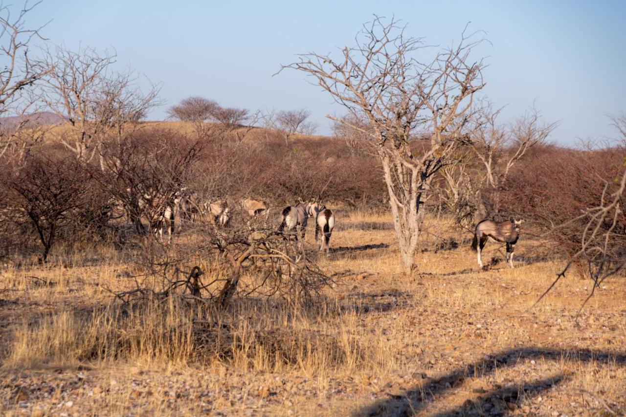Ugab Game Farm & Lodge Vingerklip Eksteriør billede